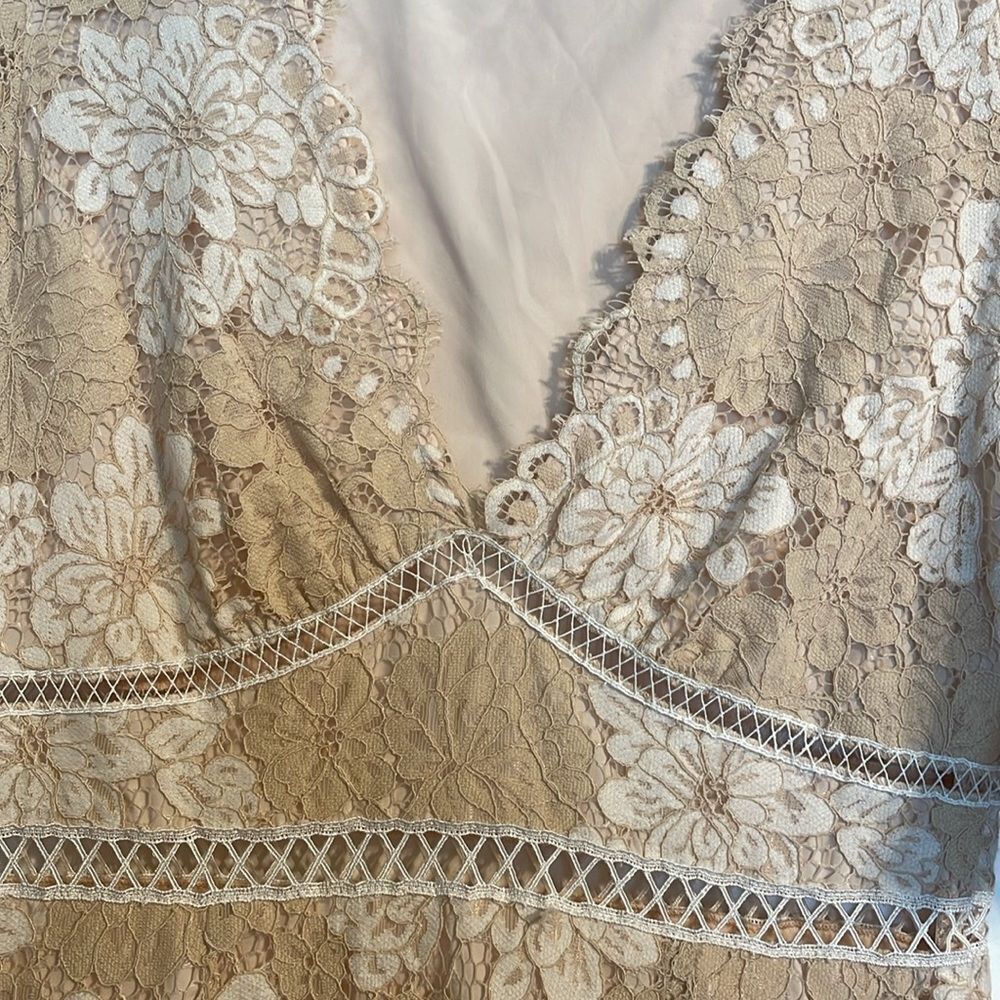 Saylor Maggie Lace Sheath Dress Beige Cream M - Picture 7 of 9
